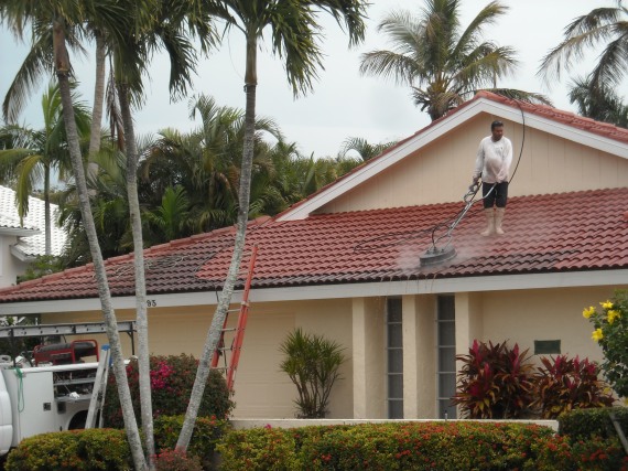 Roof Maintenance - Cleaning